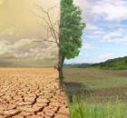 Fakta/Mitos Perubahan Iklim